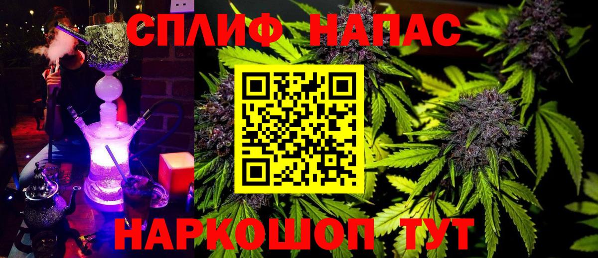 Кашира  Шишки марихуана план  Вход с VPN  Канабис индика  Бошки Шишки план 